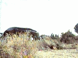 041224142944_31.gif